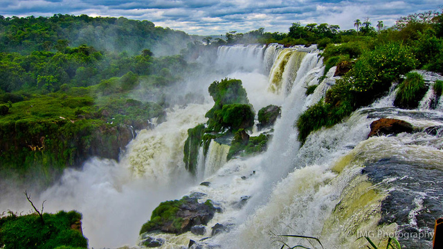 A Jungle Experience: IguazÃº National Park
