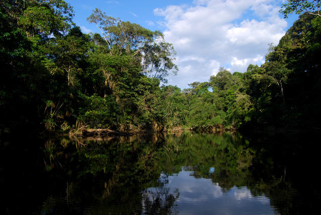 Yasuni National Park: An Amazon Wonderland