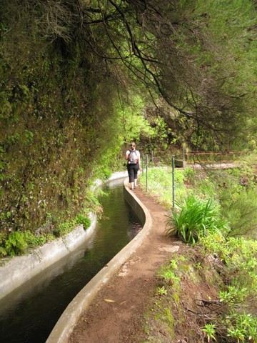 Before Their Time: The Levada Walks