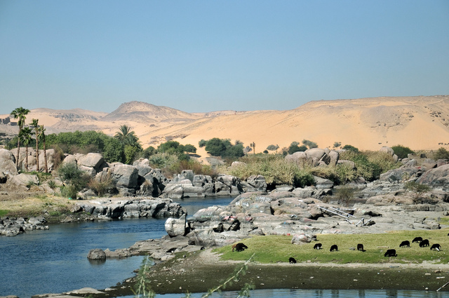 Nile Discovery