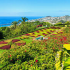 Discovery Tour to Azores & Madeira