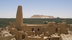 The White Desert